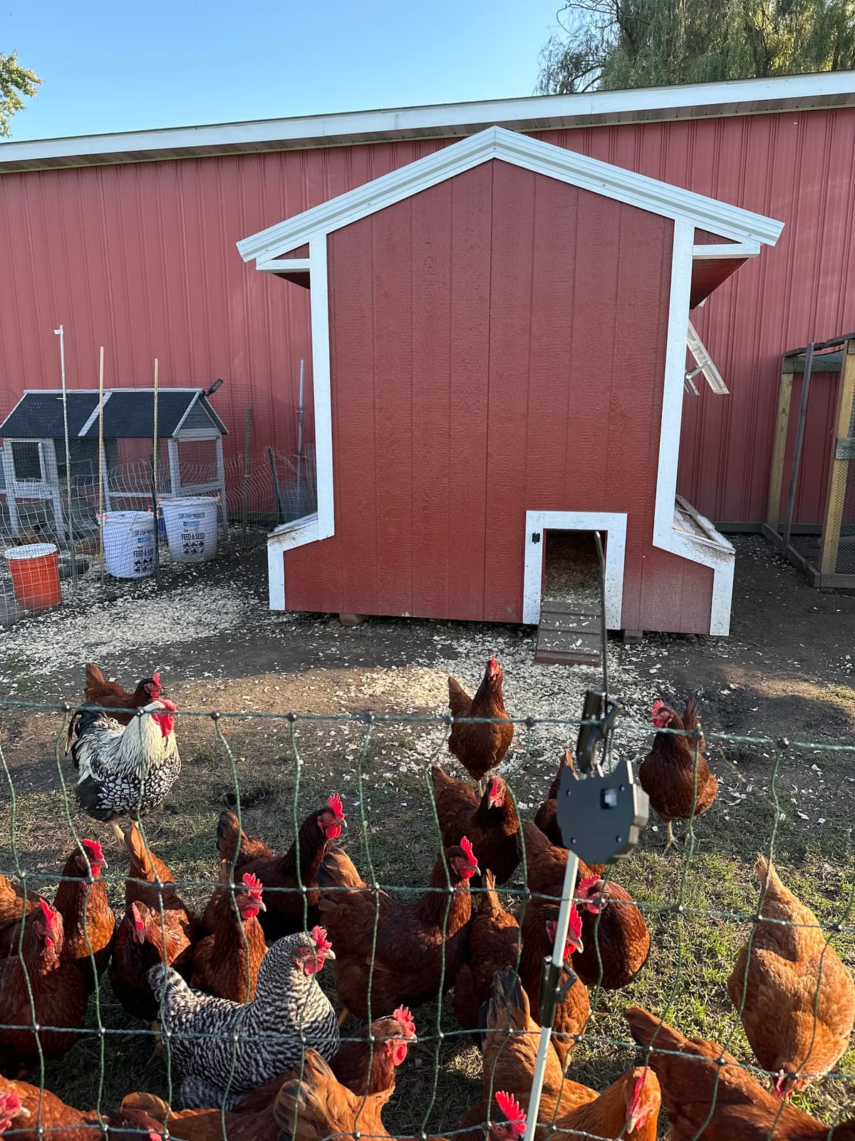 Garden Shed in Southern Michigan